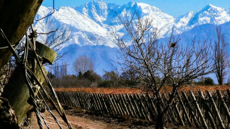 Rota do vinho em Mendoza