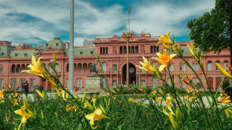 yellow flowers in front of white and brown building